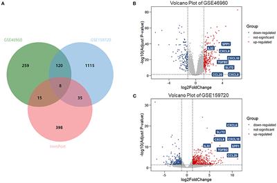 Identification of Liver Immune Microenvironment-Related Hub Genes in Liver of Biliary Atresia